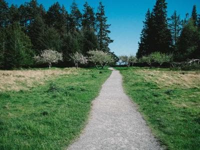 生成AIを壁打ち相手として使うときの距離感